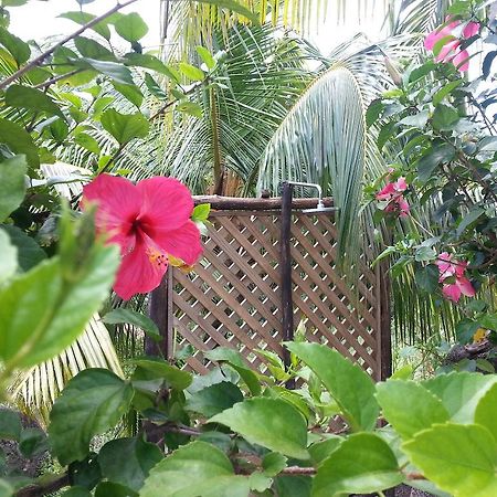 Zanboza Guesthouse ลาดิก ภายนอก รูปภาพ