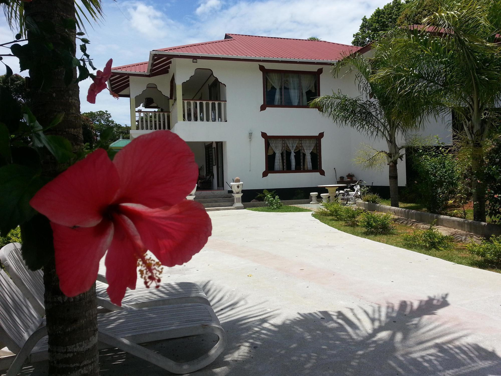 Zanboza Guesthouse ลาดิก ภายนอก รูปภาพ