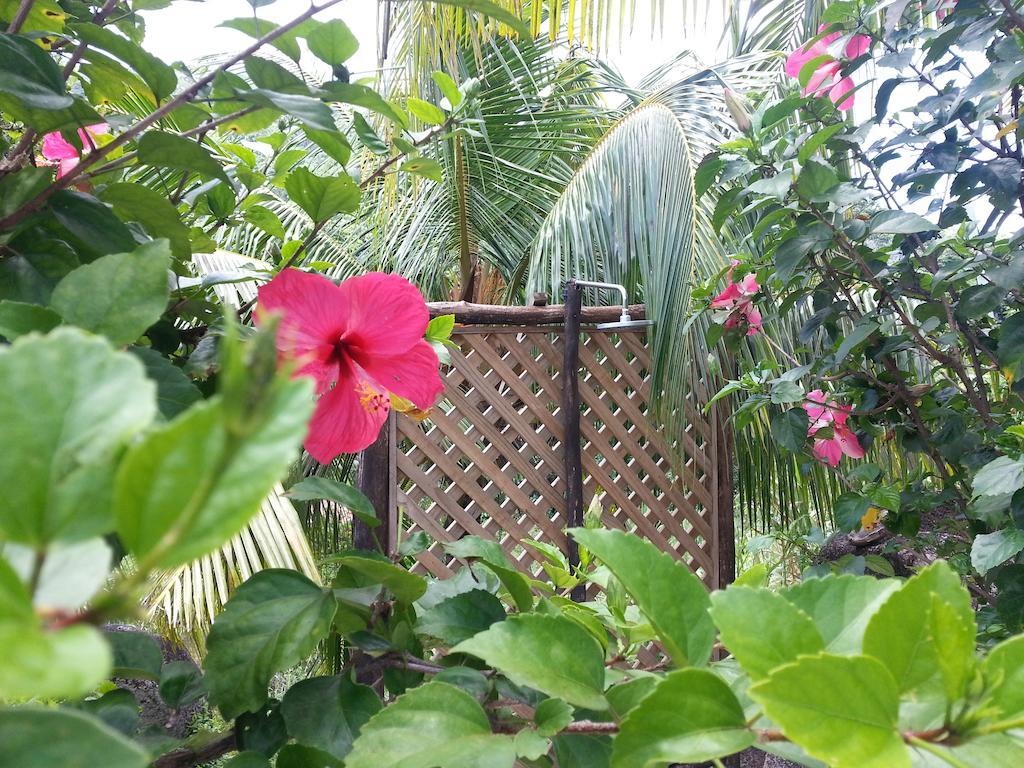 Zanboza Guesthouse ลาดิก ภายนอก รูปภาพ